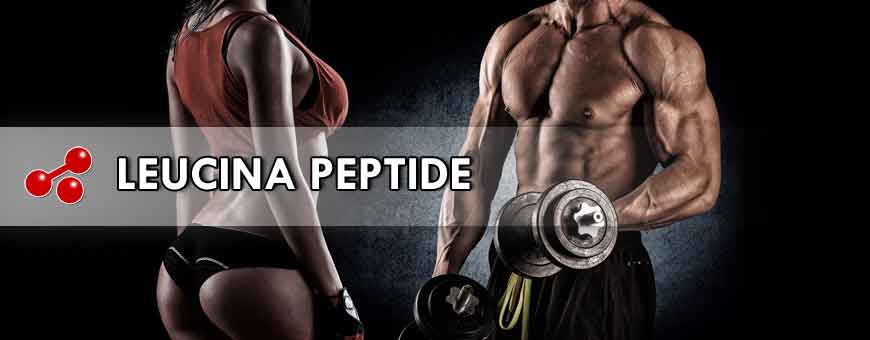 LEUCINA PEPTIDE